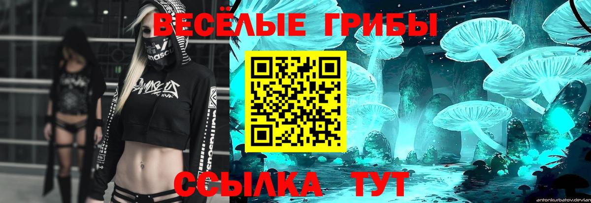 Псилоцибиновые грибы MAGIC MUSHROOMS  Вход с VPN  Северск  Галлюциногенные грибы GOLDEN TEACHER 